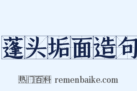 蓬头垢面造句是什么意思的图片
